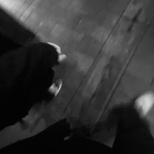 日韩在线中文字幕
